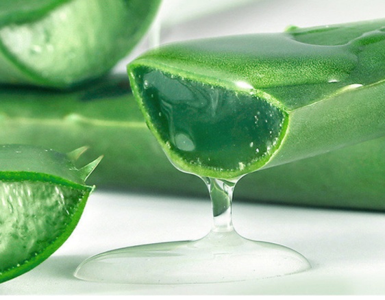 Aloe Gel Skin Care Moisturizing Face Cream - Image 4