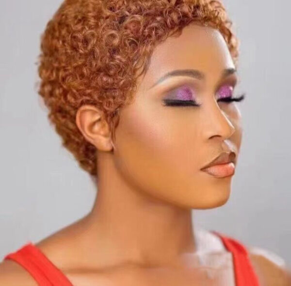 Explosive Head Female Short Curly Hair Temperament Microwave Whole Wig - Image 1