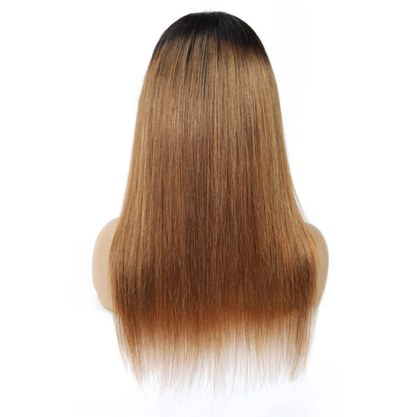 Malaysian Remy Martin Hair Gradient - Image 5