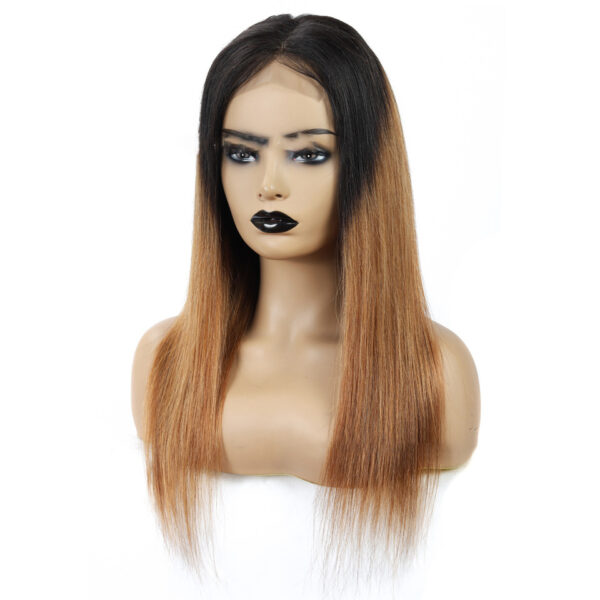 Malaysian Remy Martin Hair Gradient - Image 3
