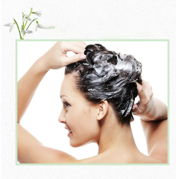 Foreign Trade Silicone Oil Free English Version Polygonum Ginseng Soap Nourishing Soap Shampoo Soap Essential Oil Soap Shampoo Soap - Image 6