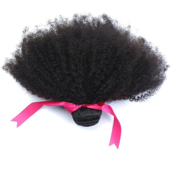 African Small Wig - Image 3