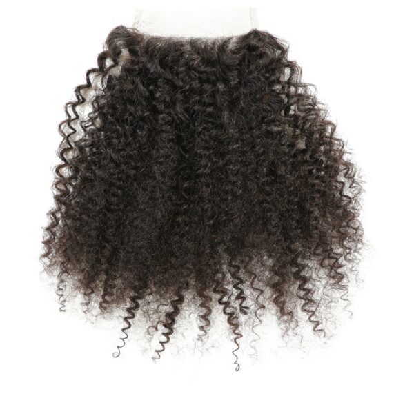 African Small Wig - Image 4