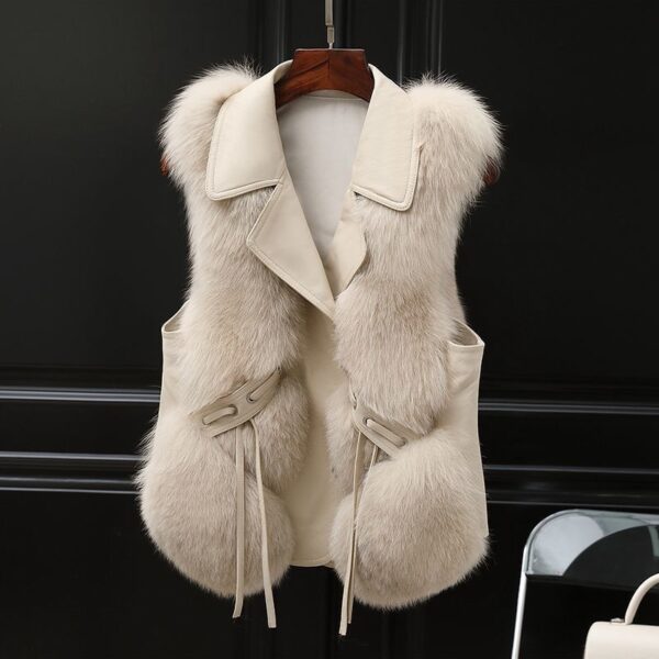Fur Vest Short Coat Autumn And Winter New Patchwork Winter Fox Fur Jacket Women Short Artificial Fur Coat Elegant Female Warm Vest - Image 6