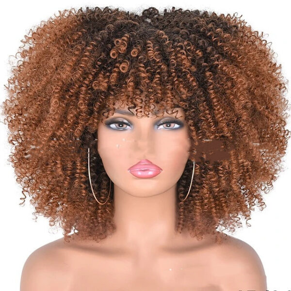 Small Curly Hair Rose Mesh Synthetic Headgear - Image 6