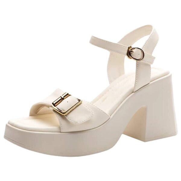 Chunky Heel Waterproof Platform Super High Heel Platform Sandals - Image 5
