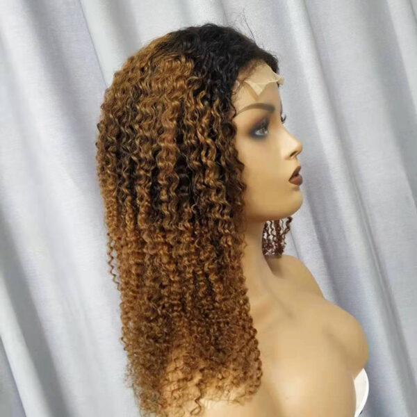 Human Hair Wigs Kinky Curly - Image 1