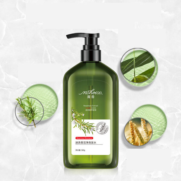 Rosemary Shampoo Body Wash For Hair Care, Refreshing And Oil Control - Image 5