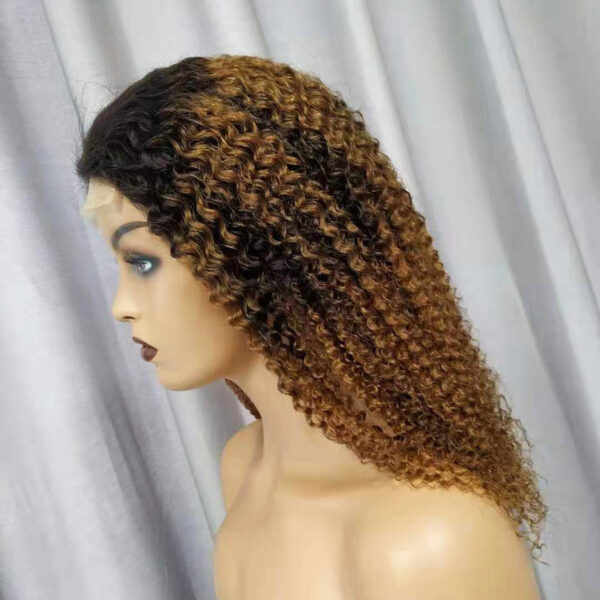 Human Hair Wigs Kinky Curly - Image 4