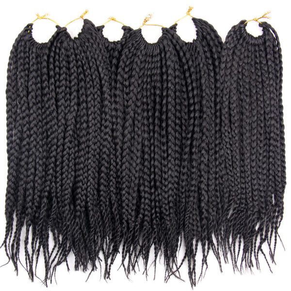 African Dirty Braids - Image 4
