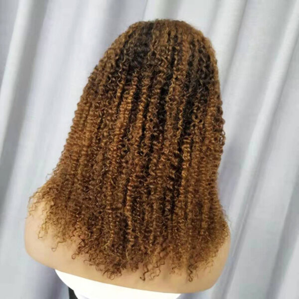 Human Hair Wigs Kinky Curly - Image 5