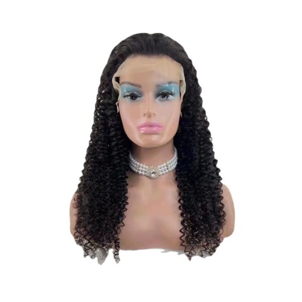 Jerry Curly 13x4 Lace Front Human Hair Wigs150 - Image 5