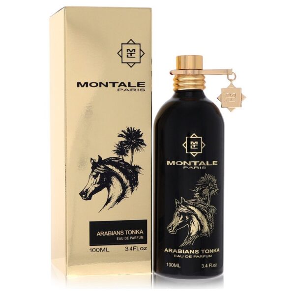 Montale Arabians Tonka - Image 1