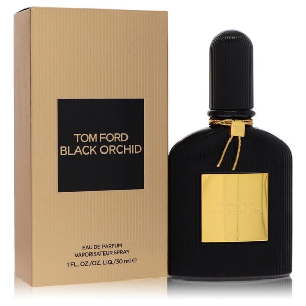 Black Orchid 1 - Image 1