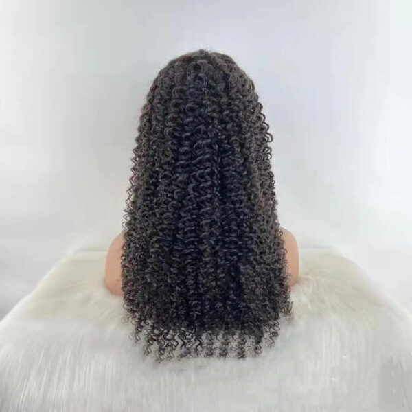 Jerry Curly 13x4 Lace Front Human Hair Wigs150 - Image 3