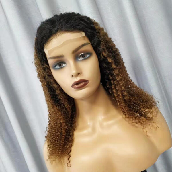 Human Hair Wigs Kinky Curly - Image 3